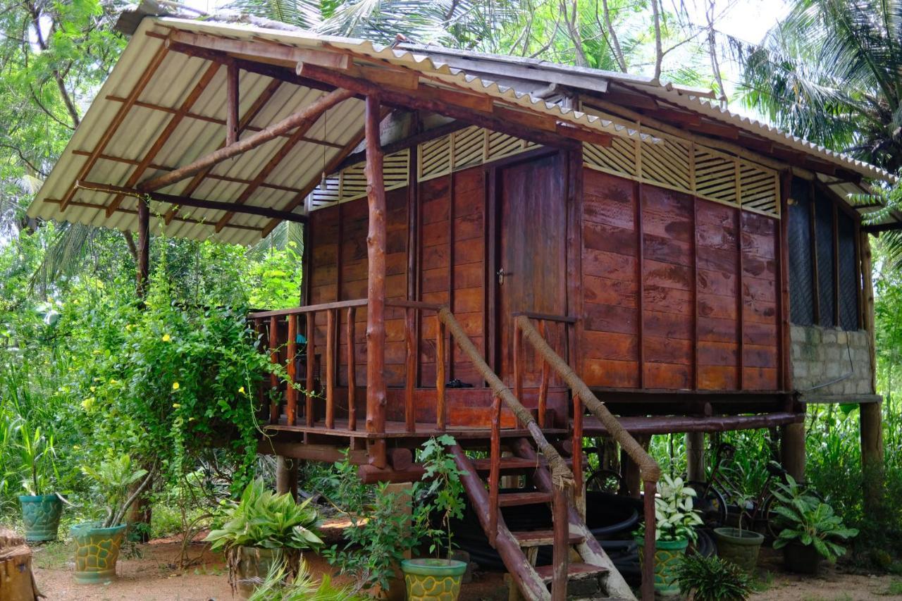 One More Night Hostel Sigiriya Exterior photo