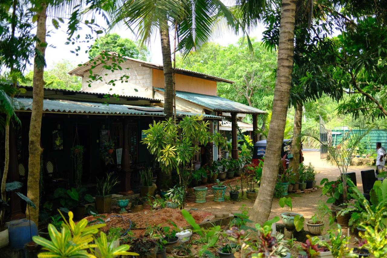 One More Night Hostel Sigiriya Exterior photo